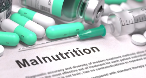introduction on malnutrition essay